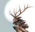 Tanya Tagaq JPEG